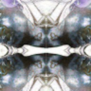 Meet your Posher, Lee